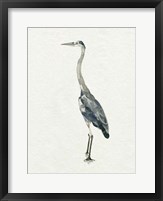Saltwater Herons II Framed Print