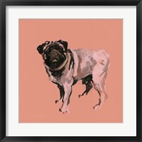 Framed Very Pop Modern Dog VII