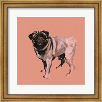 Framed Very Pop Modern Dog VII