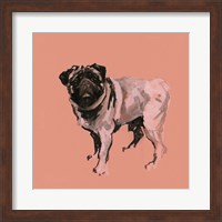 Framed Very Pop Modern Dog VII