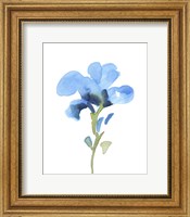Framed Striking Blue Iris I