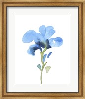 Framed Striking Blue Iris I