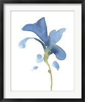 Framed Striking Blue Iris V