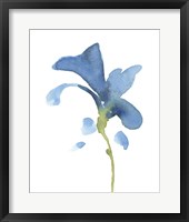 Framed Striking Blue Iris V