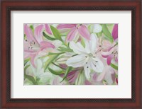 Framed Pink and White Lilies IV