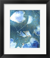 Framed Cyanotype Leaves I
