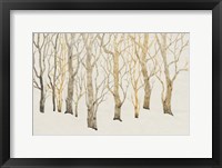 Bare Trees I Framed Print