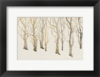 Framed Bare Trees II