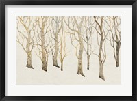 Framed Bare Trees II