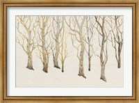 Framed Bare Trees II