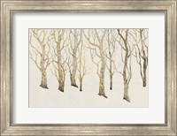 Framed Bare Trees II