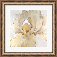 Framed Iris Cream I