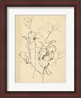 Framed Contour Flower Sketch II