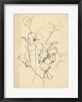 Contour Flower Sketch II Framed Print
