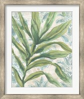 Framed Palms & Patterns I