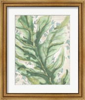 Framed Palms & Patterns III