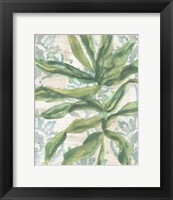 Framed Palms & Patterns IV