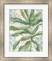 Framed Palms & Patterns IV