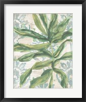 Palms & Patterns IV Framed Print