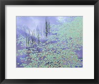 Framed Damselfly and Lily Pads
