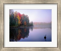 Framed Foggy Morning Sunrise