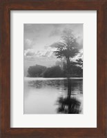 Framed Coastal Oak Series No. 34