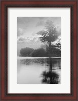 Framed Coastal Oak Series No. 34