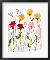 Framed Flowers from Sheeley's