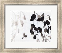 Framed Leaves in Black and White