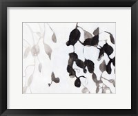 Framed Leaves in Black and White