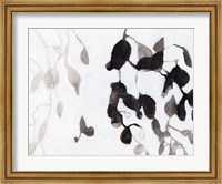 Framed Leaves in Black and White
