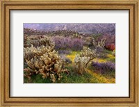 Framed Desert Cactus and Wildflowers
