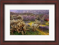 Framed Desert Cactus and Wildflowers