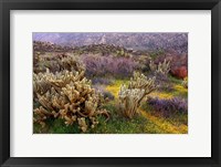 Framed Desert Cactus and Wildflowers