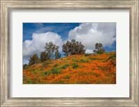 Framed Poppies, Trees & Clouds