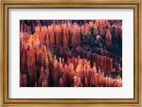 Framed Bryce Canyon at Sunset