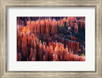 Framed Bryce Canyon at Sunset