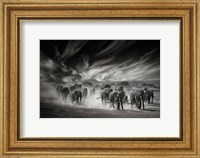 Framed Sky, Dust and Elephants