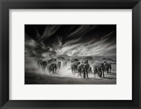 Framed Sky, Dust and Elephants