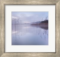 Framed Reflections in a Lake 1