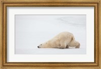 Framed Sliding Bear