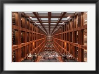 Framed Library in Berlin