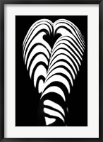Framed Zebra Ass 2