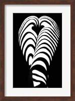Framed Zebra Ass 2