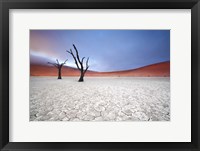 Framed Mist over Deadvlei