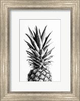 Framed Pineapple Black a White 1