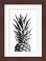 Framed Pineapple Black a White 1