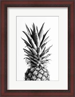 Framed Pineapple Black a White 1