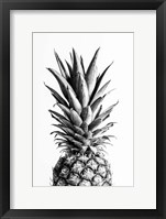 Framed Pineapple Black a White 1