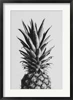 Framed Pineapple Black a White 2